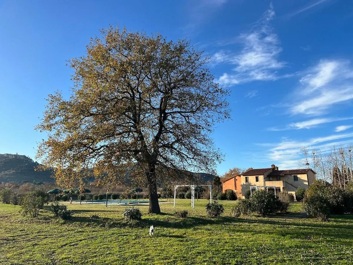 Elegante Appartamento In Un Casolare Toscano Scarlino Apartment