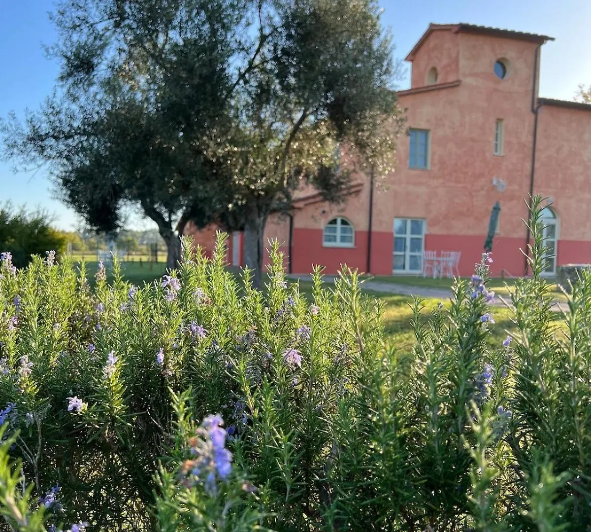 Elegante Appartamento In Un Casolare Toscano Scarlino Apartment